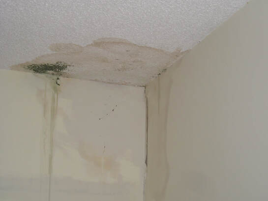 Picture of Leaking Roof